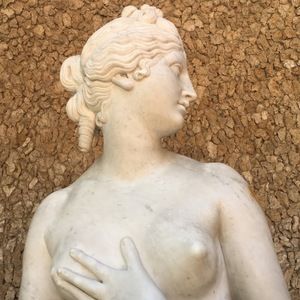 Meet your Posher, Mia